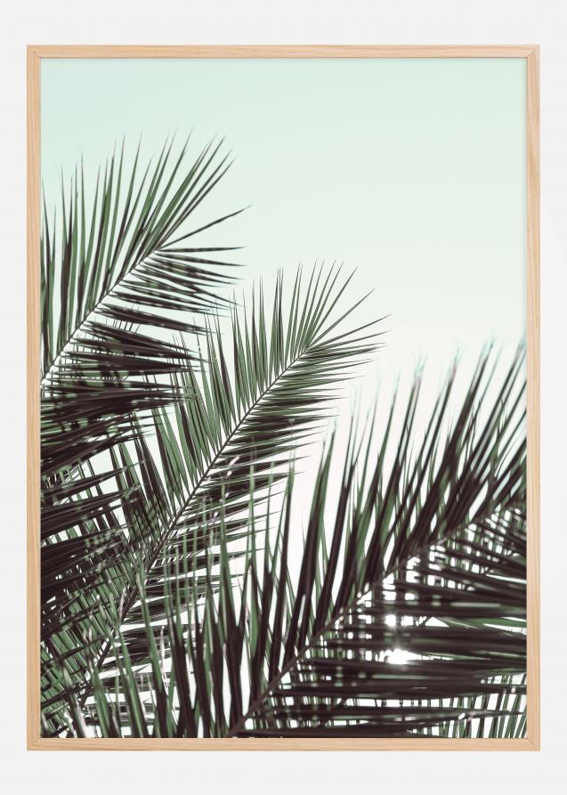 Palm leaves sky Poster