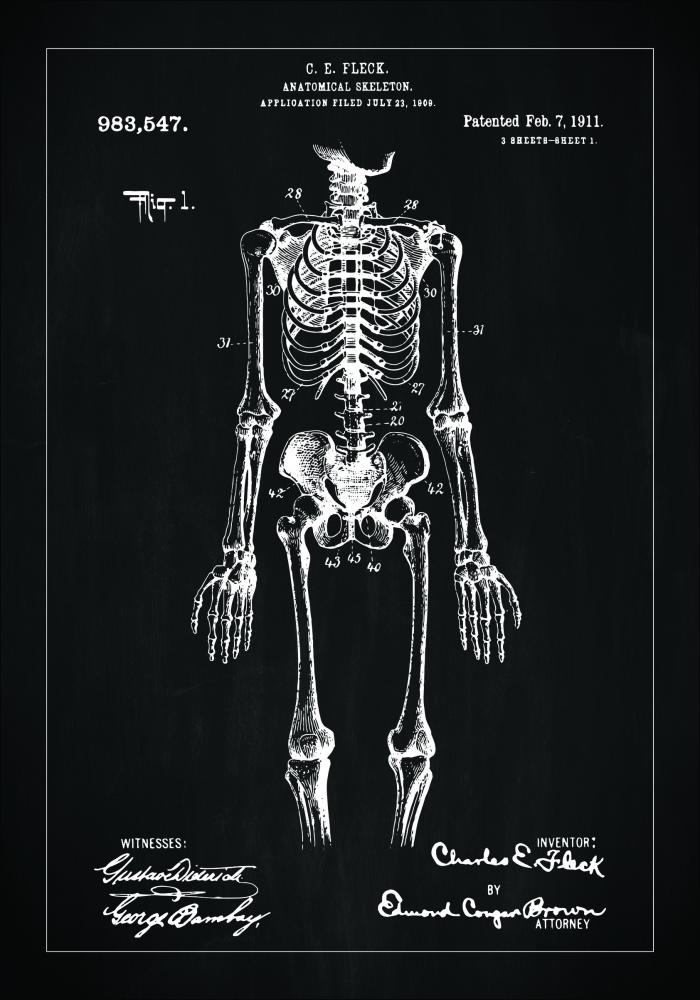 Disegni di brevetti - Anatomia dello scheletro I - Nero Poster