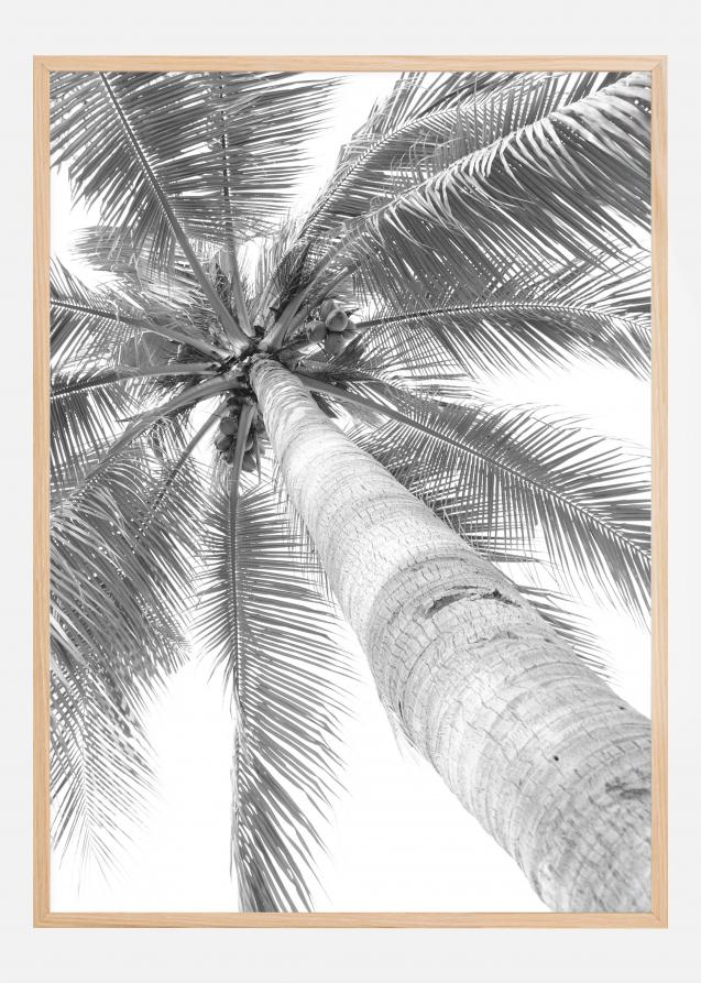 Poster palma bianca e nera