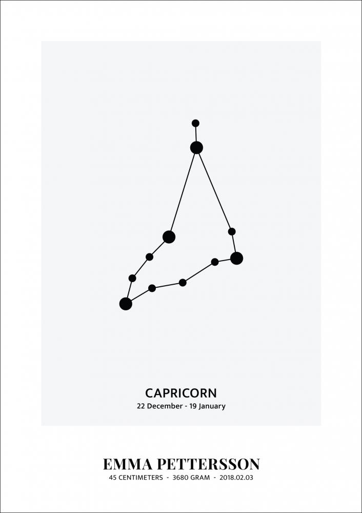 Capricorn - Segno zodiacale