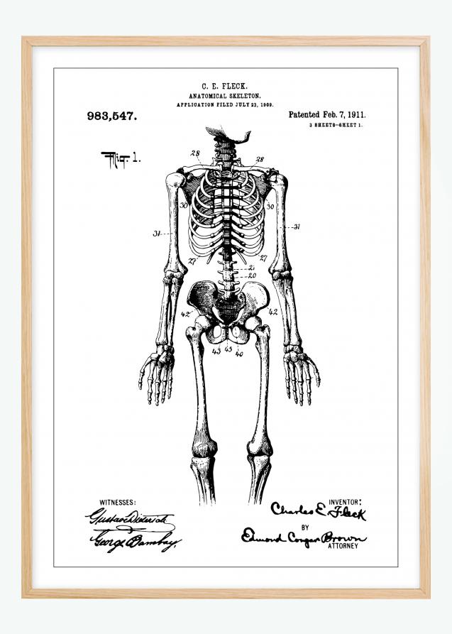 Disegni di brevetti - Anatomia dello scheletro I Poster