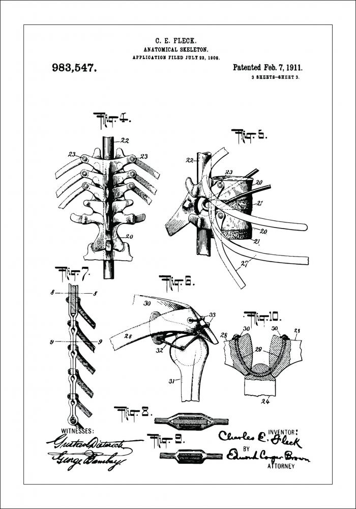 Disegni di brevetti - Anatomia dello scheletro III Poster