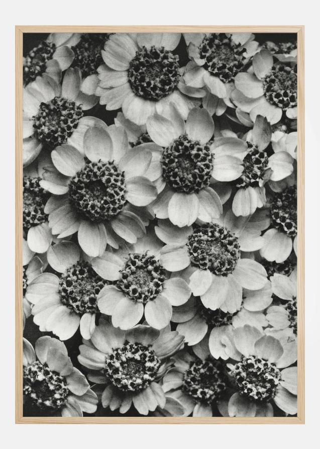 Poster con fiori in bianco e nero