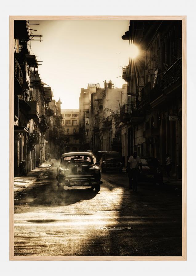 Mystic morning in Havana Poster