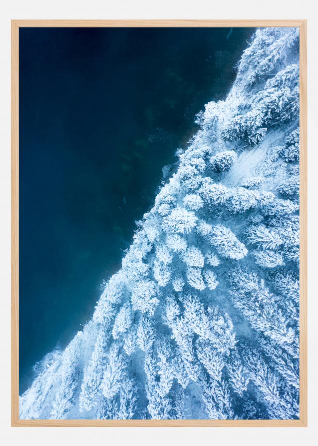 Frosty Forest Poster