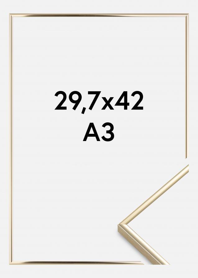 Cornice Visby Vetro acrilico Finitura brillante Oro 29,7x42 cm (A3)