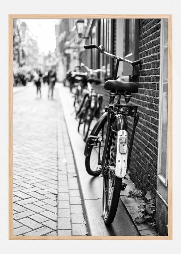 Park the Bicycles Poster