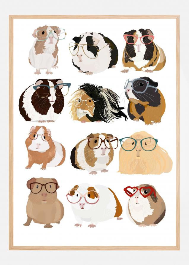 Guinea Pig in Glasses Poster