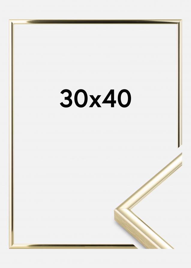 Cornice Nielsen Premium Classic Oro 30x40 cm