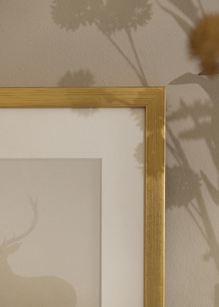 Cornice Falun Vetro acrilico Oro 50x60 cm