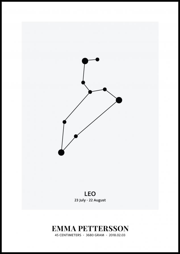 Leo - Segno zodiacale