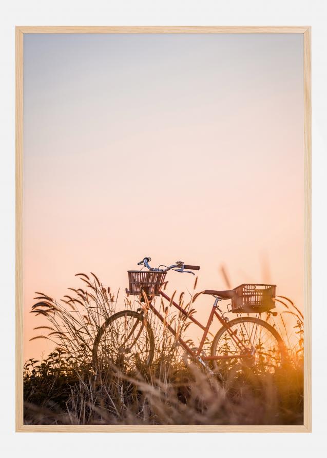 Poster "Giro in bicicletta al tCornici onto