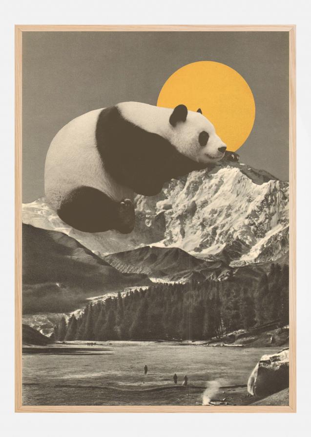 Giant Panda Nap Poster