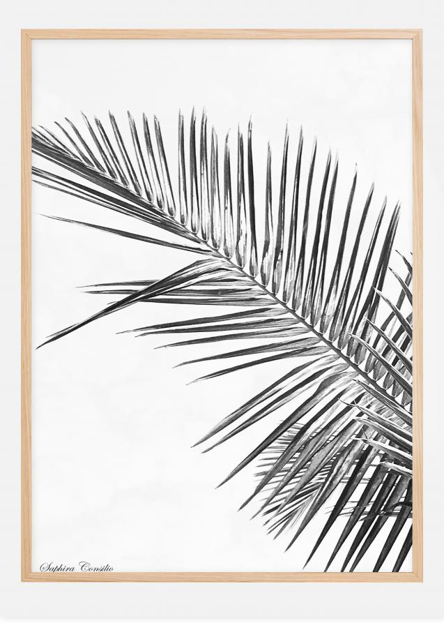 Poster palma nera