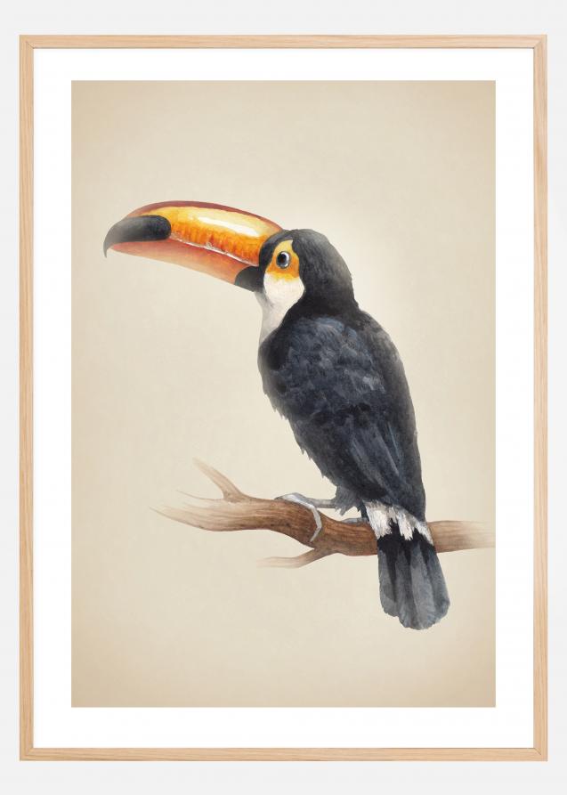 Tropical Toucan Poster