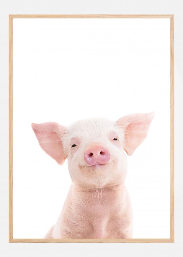 Baby Pig Poster