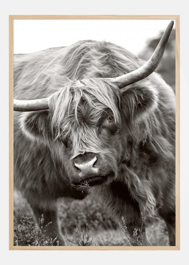 The Bull Poster