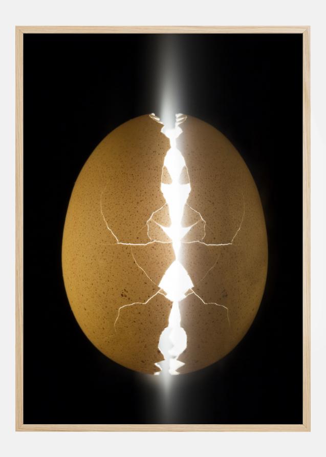 Alien egg Poster