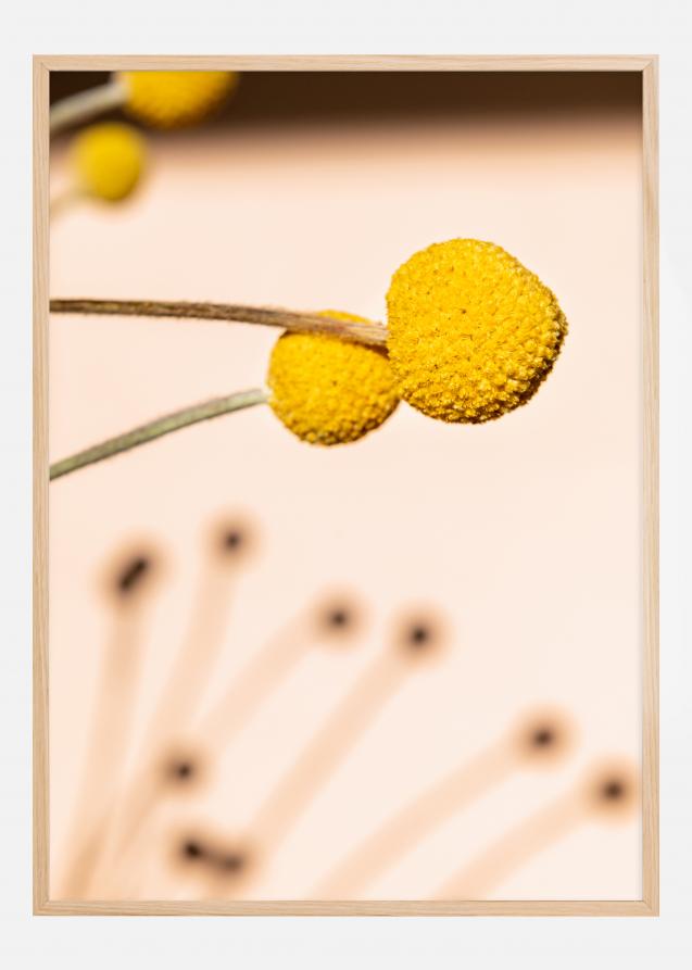 Small Yellow Flowers Poster