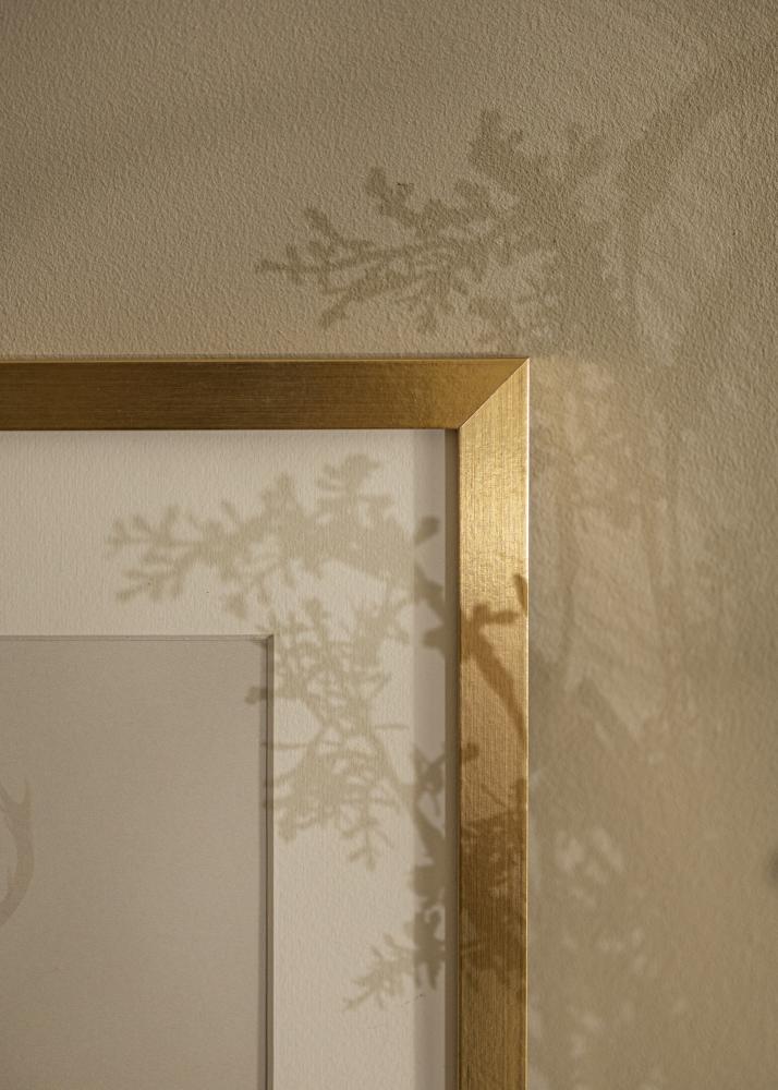 Cornice Selection Oro 70x100 cm - Passe-partout Bianco 59,4x84 cm (A1)