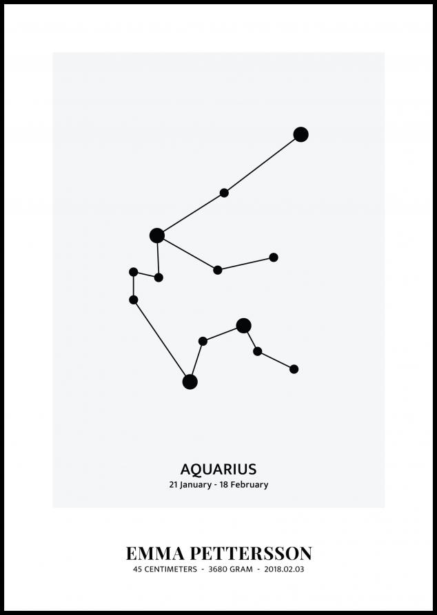 Aquarius - Segno zodiacale