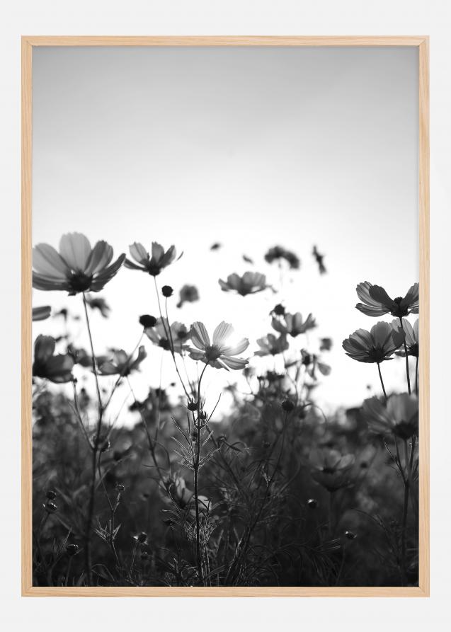 Campo in bianco e nero con fiori Poster
