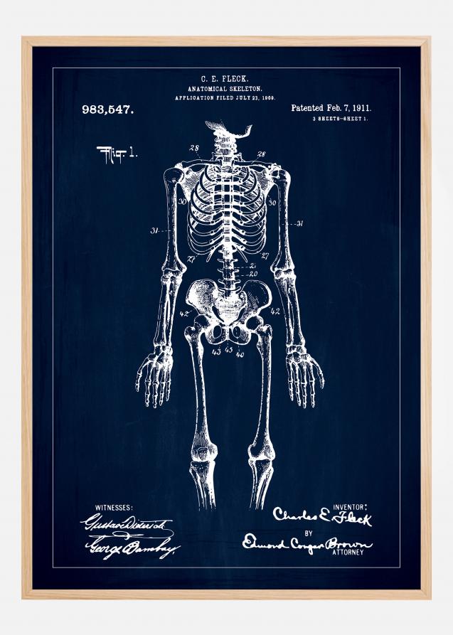 Disegni di brevetti - Anatomia dello scheletro I - Blu Poster
