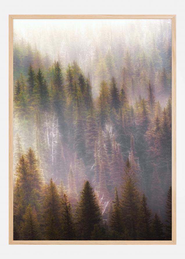 Misty Mood in the Forest Poster