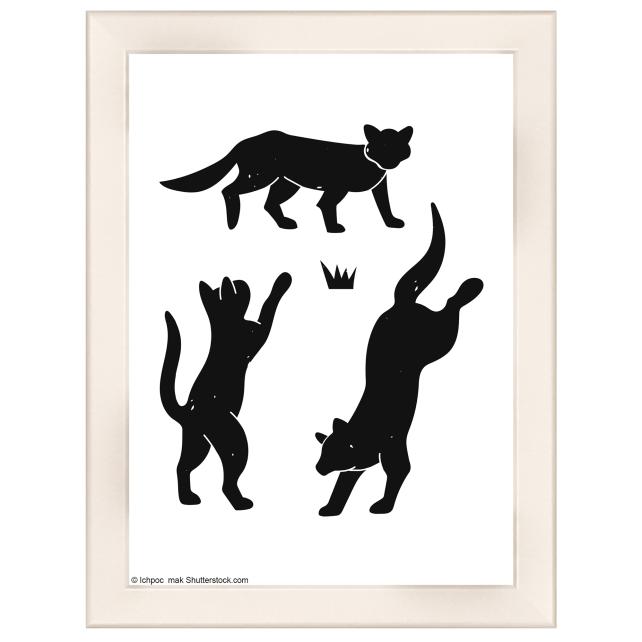 Cornice Liv Bianco 13x18 cm - passe-partout Bianco 10x12 cm