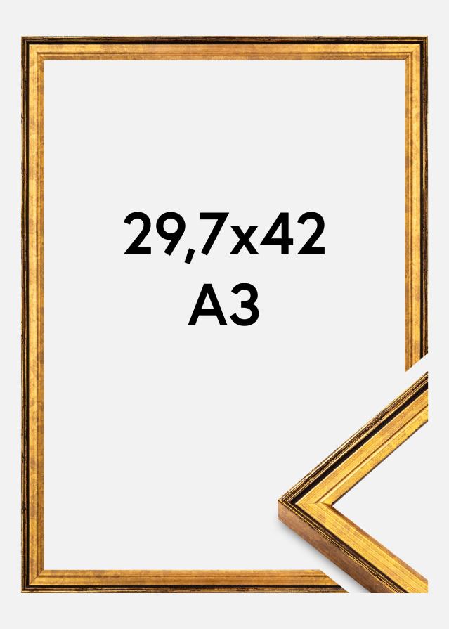 Cornice Ringa Vetro Acrilico Oro 29,7x42 cm (A3)