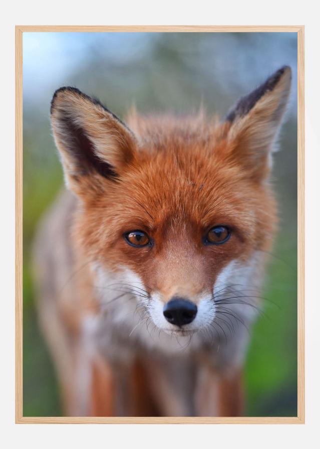 Rust in the wild Poster