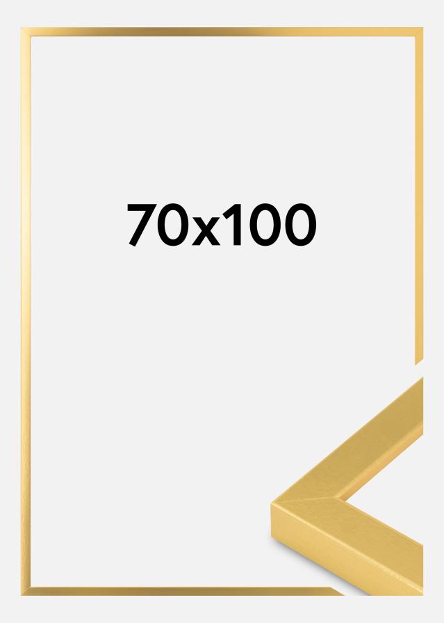 Cornice Oro Larga 70 x 100 cm