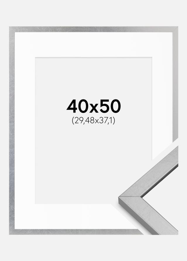 Cornice Minerva Argento 40x50 cm - passe-partout Bianco 12x15 inches