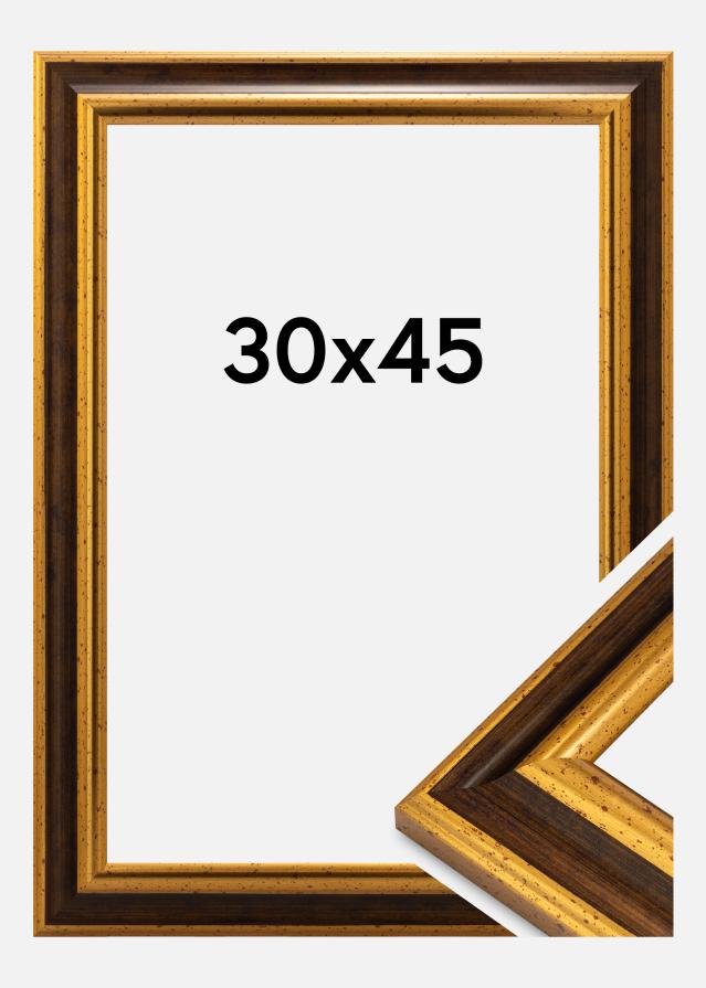 Cornice Aberystwyth Vetro acrilico Oro 30x45 cm