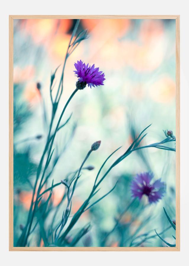 Colors game II Poster