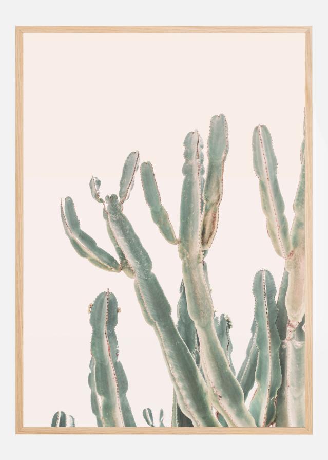 Sunrise Cactus Poster
