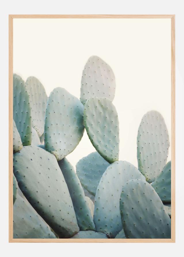 Pastel Cacti Poster