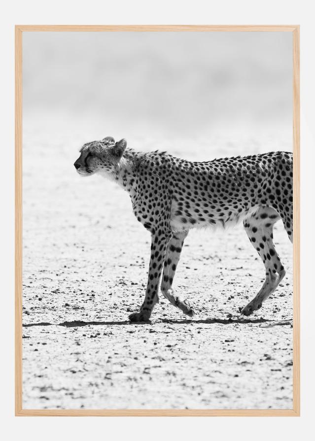 Silent Pursuit Poster