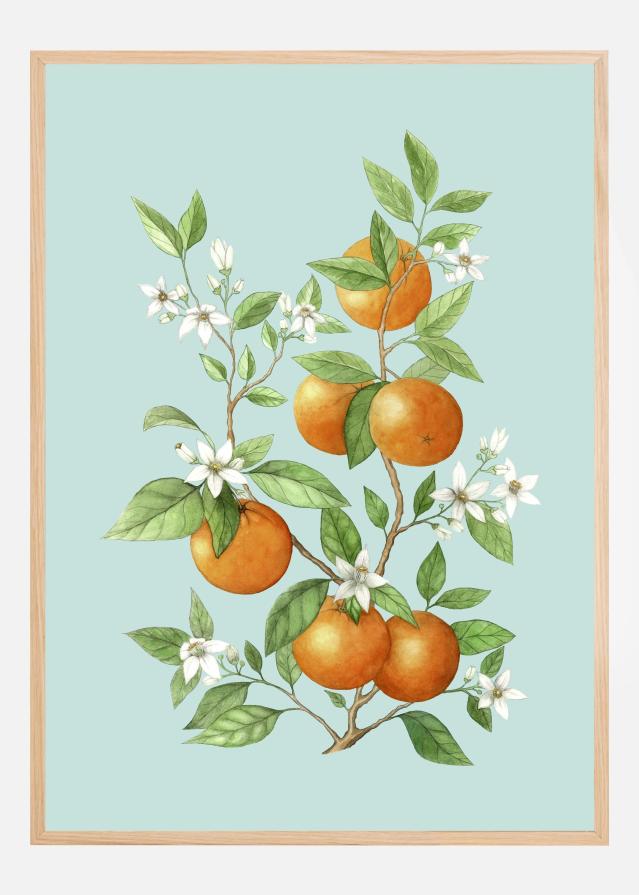 Laranja - Orange Fruit Poster