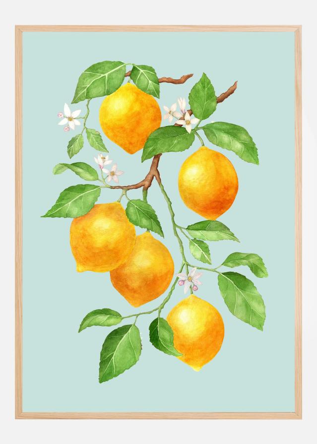Limao - Citrus Fruit Poster