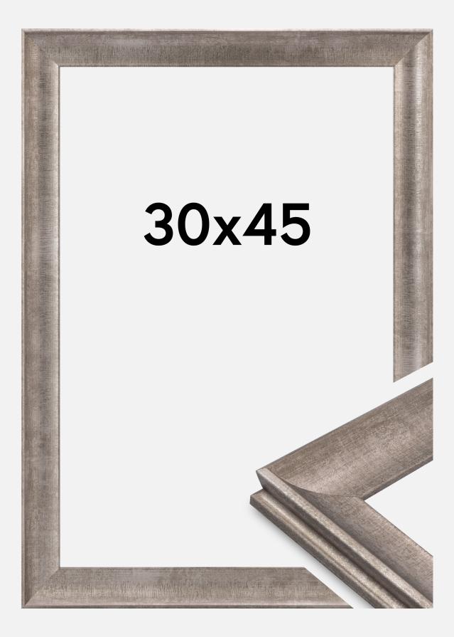 Cornice Conca Vetro acrilico Argento 30x45 cm