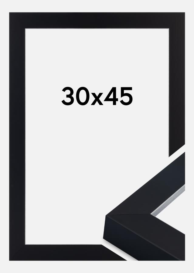 Cornice Sussex Vetro acrilico Nero/Argento 30x45 cm