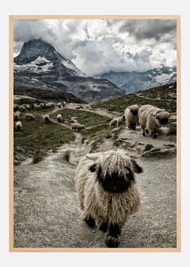 Out of my way Poster