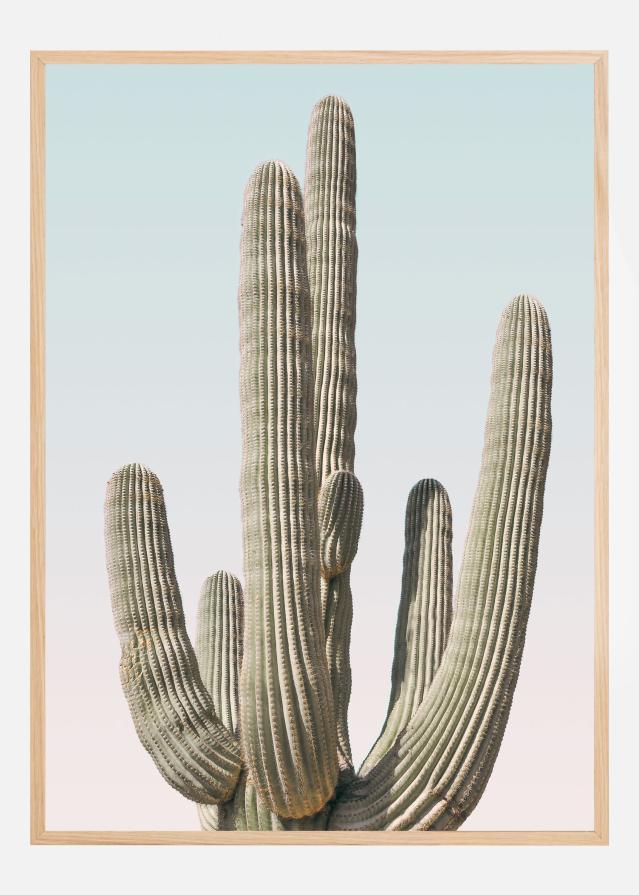 Saguaro Poster