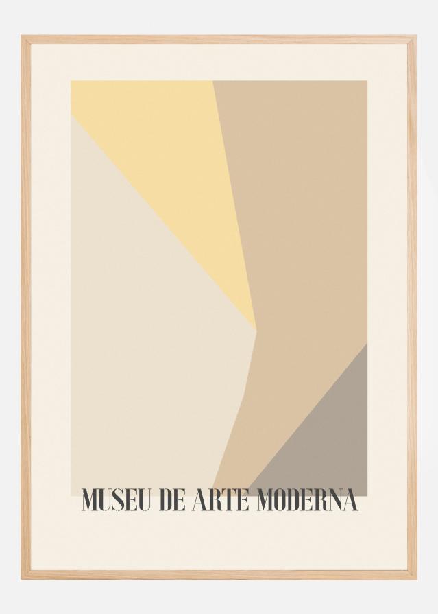 Museu De Arte Moderna 02 Poster