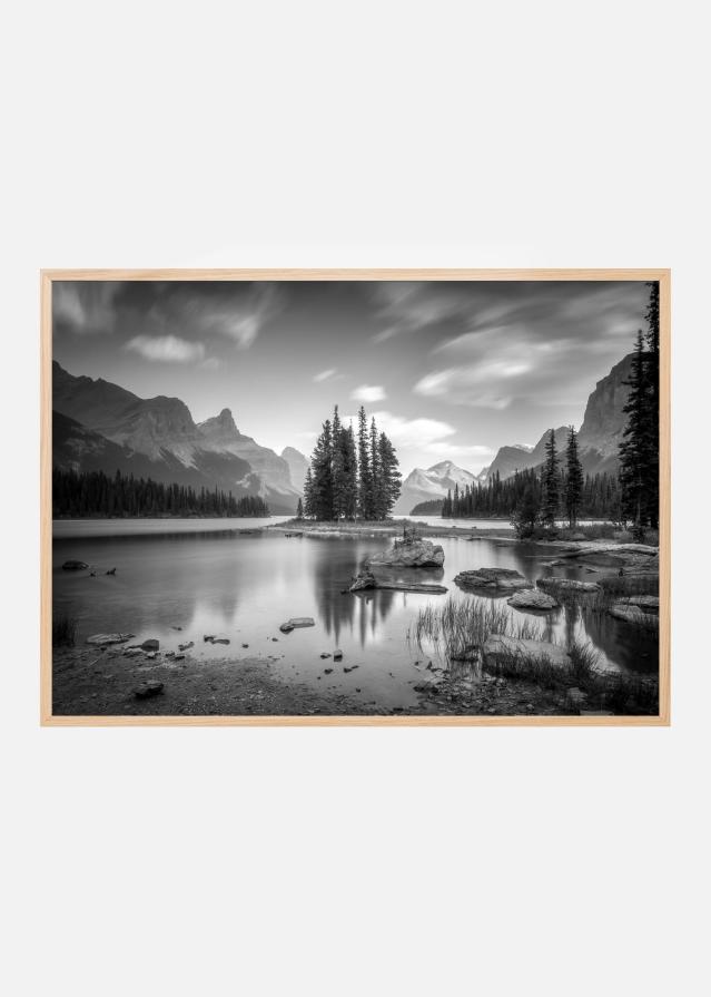 spirit island Poster