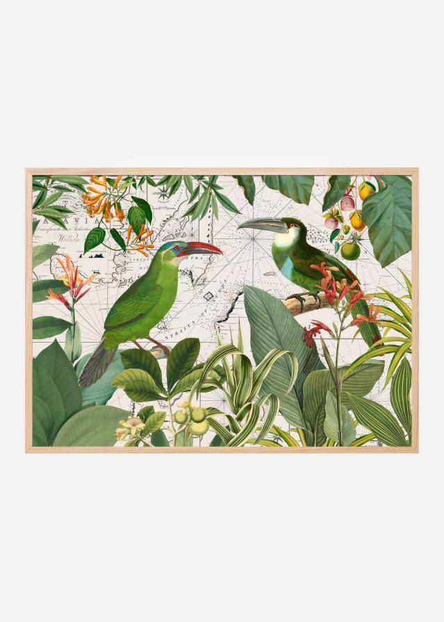 Parrots Nostalgic Journey 3 Poster