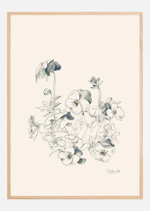 Pansies pencil drawing Poster