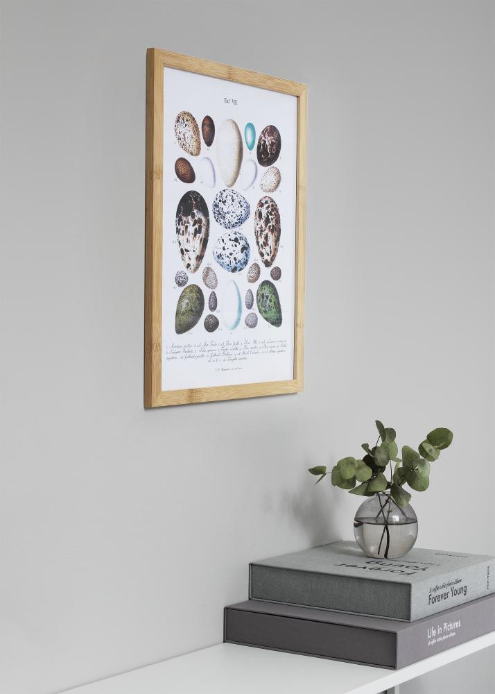 Cornice Hoei Bambu 50x70 cm - passe-partout Bianco 40x60 cm