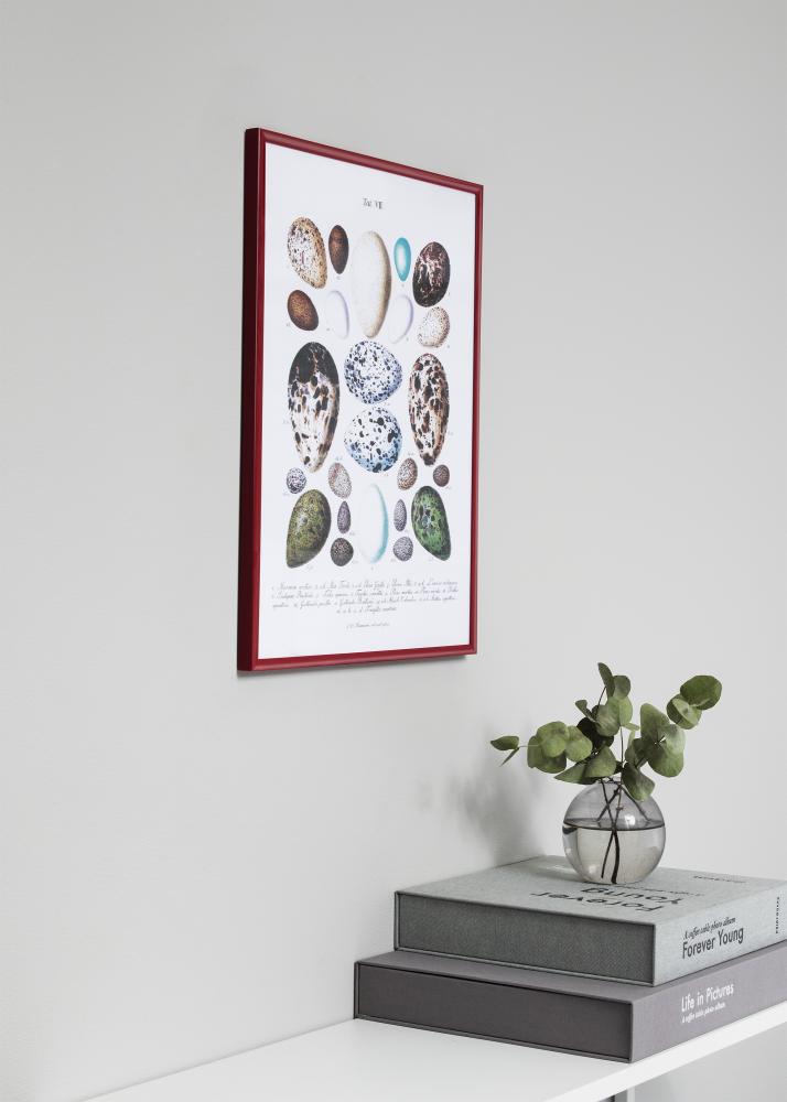 Cornice New Lifestyle Rosso 70x100 cm - passe-partout Bianco 50x85 cm